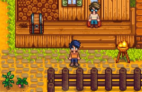 stardew valley online multiplayer.